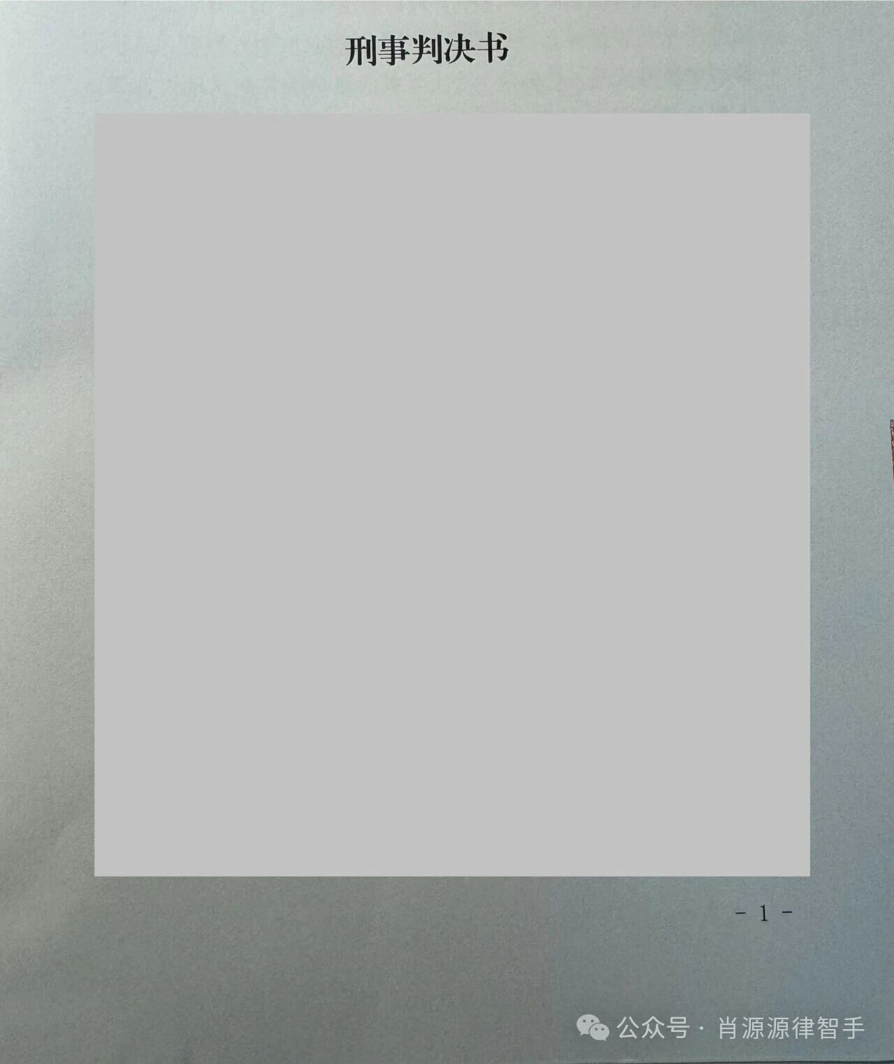 肖源源专注经济类刑事案件律师